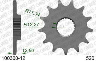 Afam Drevsett Polaris Sportsman 6x6++ A520XMR3-80L, 100300-12, 98300-38