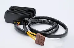 Arrowhead Regulator - Derbi GP1 250i Racing 250cc