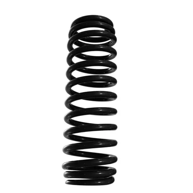 Heavy Duty Rear Spring Kit BRP 