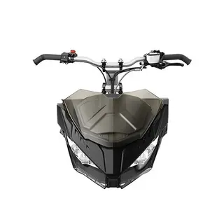 Lynx/Ski-doo Ultra-lav Vindskjerm 20cm Radien / Radien X, REV Gen4