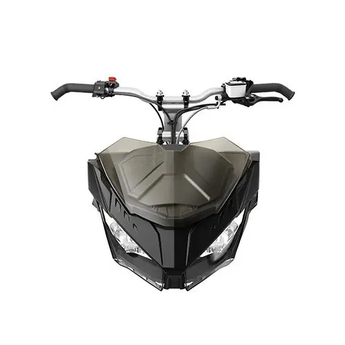 Lynx/Ski-doo Ultra-lav Vindskjerm 20cm Radien / Radien X, REV Gen4 