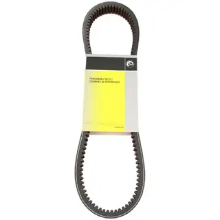 Belt Drive BRP Originaldel