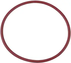 O-Ring BRP Originaldel