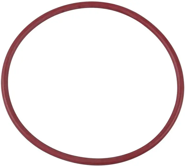 O-Ring BRP Originaldel 