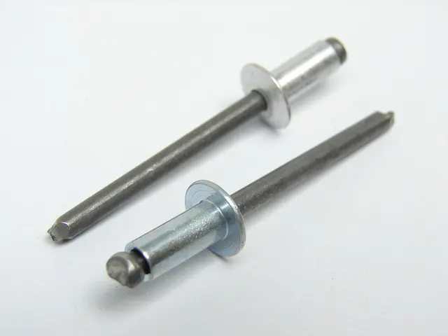 Rivet_pop 3/16 X ,550 Black BRP Originaldel 