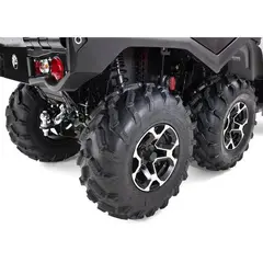 Can-Am Bakmontert Vinsjsett G2 (kun 6x6 modeller)