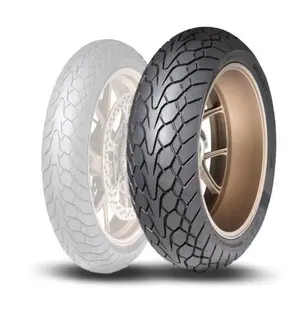 170/60-17 72W Dunlop Mutant Bakdekk
