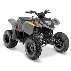 Polaris Phoenix 200 2026 Avalanche Gray