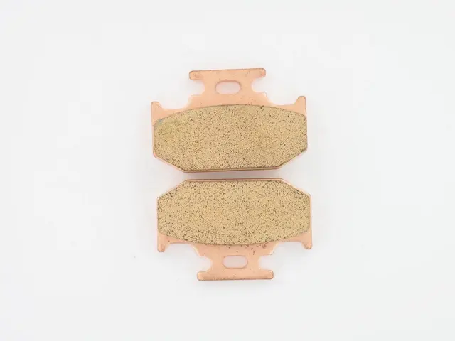 Holeshot Bremseklosser Bak Kawasaki Yamaha / Suzuki 