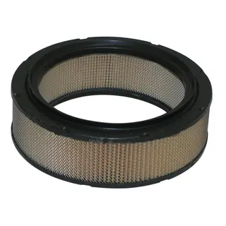 MIW D6100 Luftfilter - Benelli