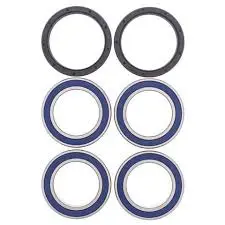 All Balls Hjullagersett bak-Can-Am DS 