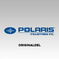 Polaris Carbon Clean Plus 125ml (12) E10 Behandler