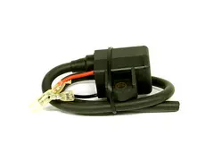 Coil - Polaris OEM: 3084469