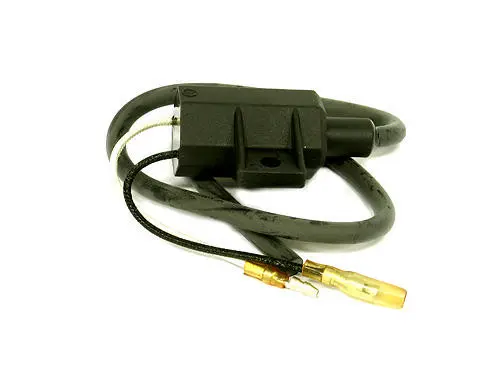 Coil - Yamaha OEM: 8CH823100000, 8DG823100000 