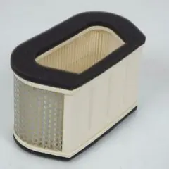 Yamaha Luftfilter YFZ R1